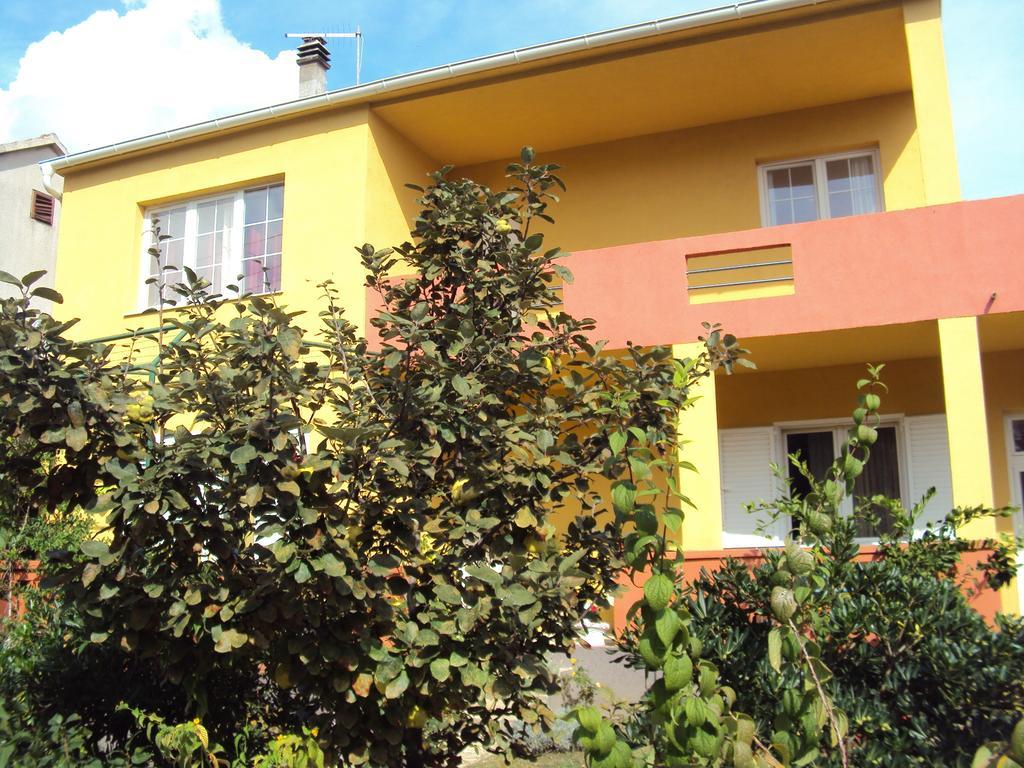 Apartments Mira บีโอกราดนาโมรู ภายนอก รูปภาพ